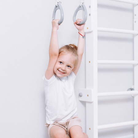 картинка Комплекс «Шведская стенка деревянная ROMANA Eco 2.1» от магазина Лазалка