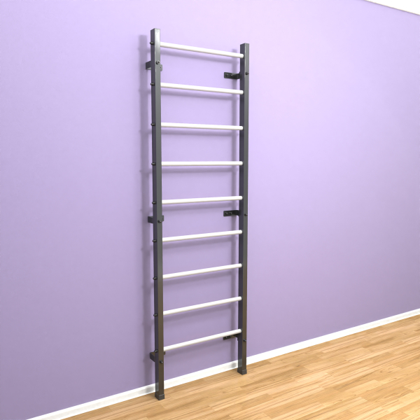 картинка Шведская стенка "LittleSport" (черный*белый) от магазина Лазалка