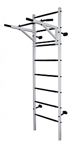 Детский спортивный комплекс ДСК "Midzumi Katashi"